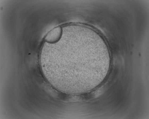 X0000081291263200702012235