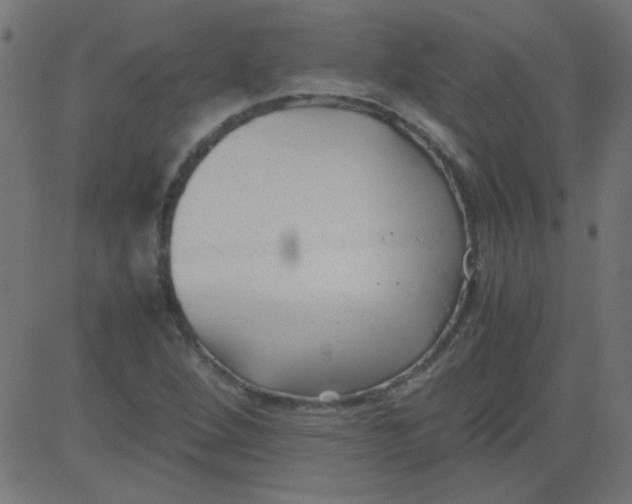 X0000081291264200702012235