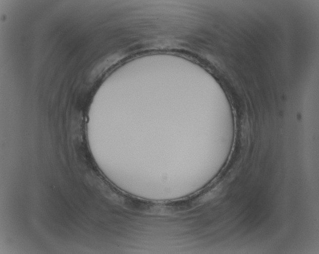 X0000081291265200702012235