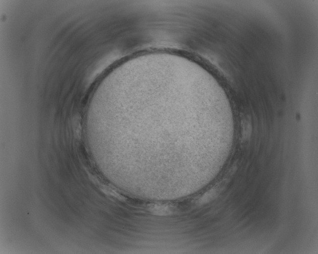 X0000081291266200702012235