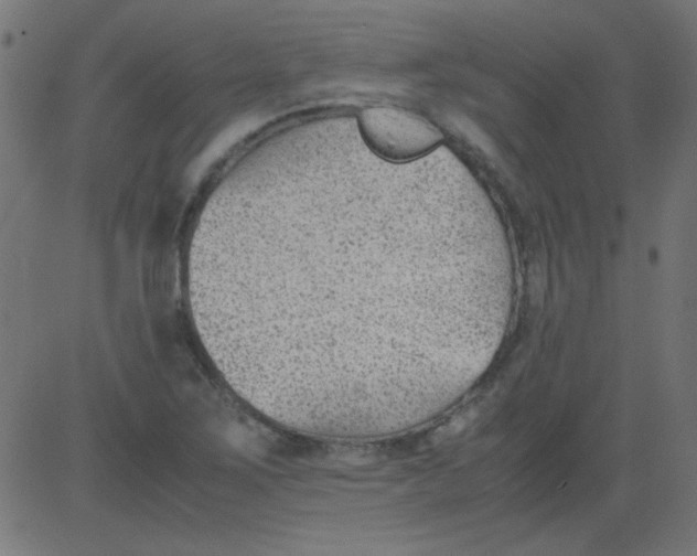 X0000081291267200702012235