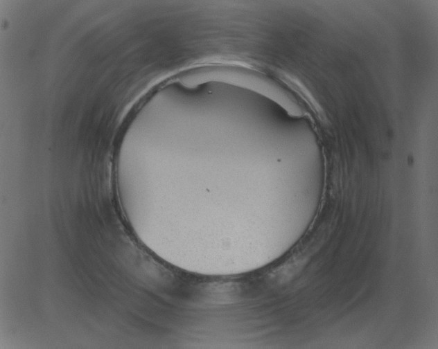 X0000081291268200702012235