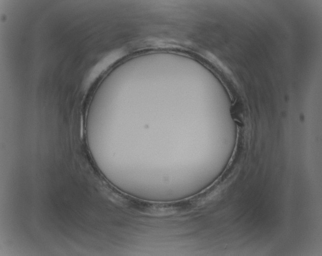 X0000081291269200702012235