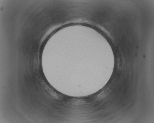 X0000081291270200702012235