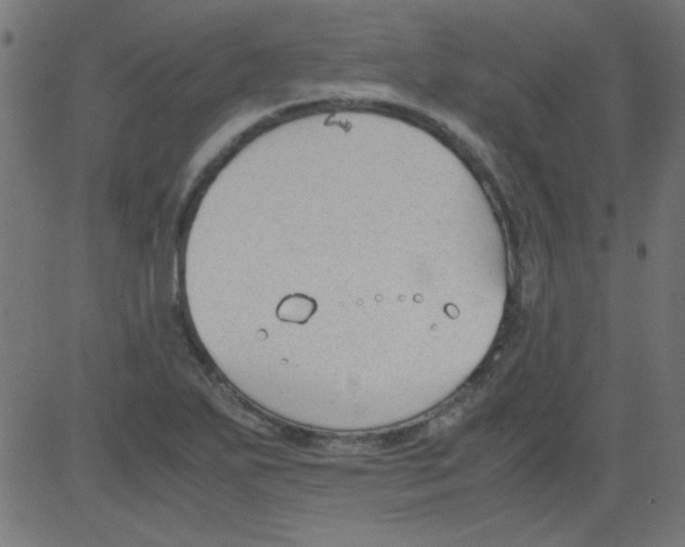 X0000081291271200702012235