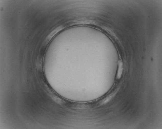 X0000081291273200702012235