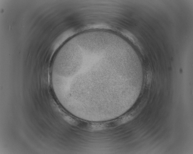 X0000081291274200702012235