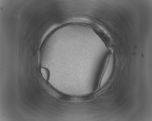 X0000081291275200702012235