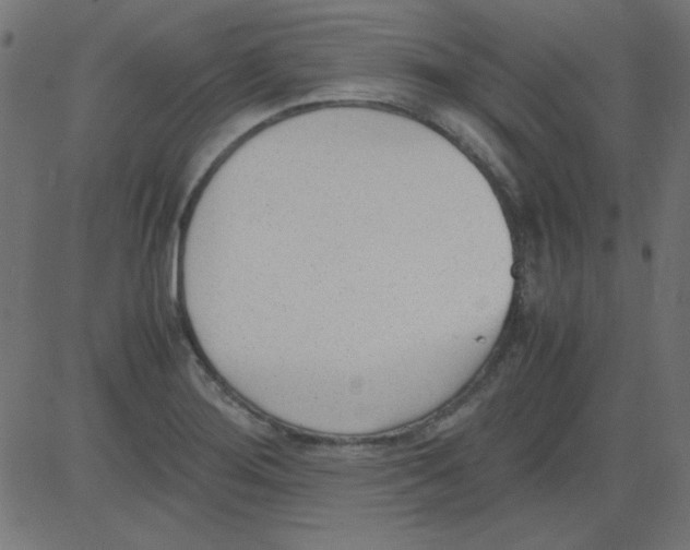 X0000081291276200702012235