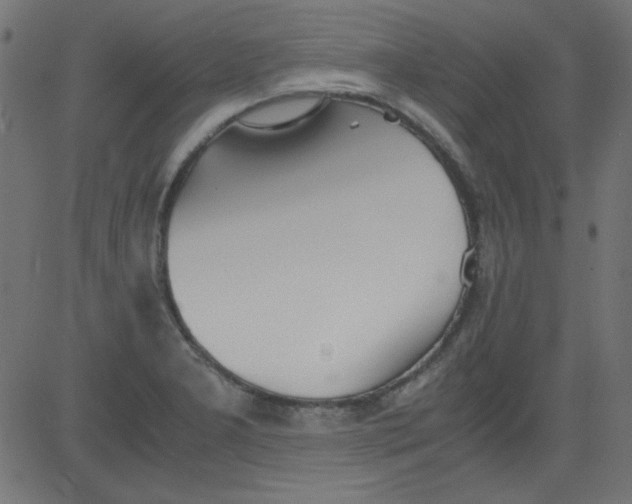 X0000081291277200702012235