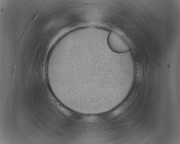 X0000081291278200702012235