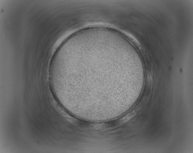 X0000081291279200702012235