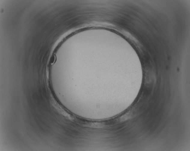 X0000081291280200702012235