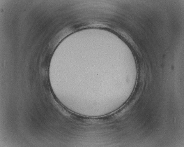 X0000081291281200702012235