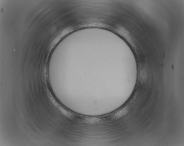 X0000081291282200702012235