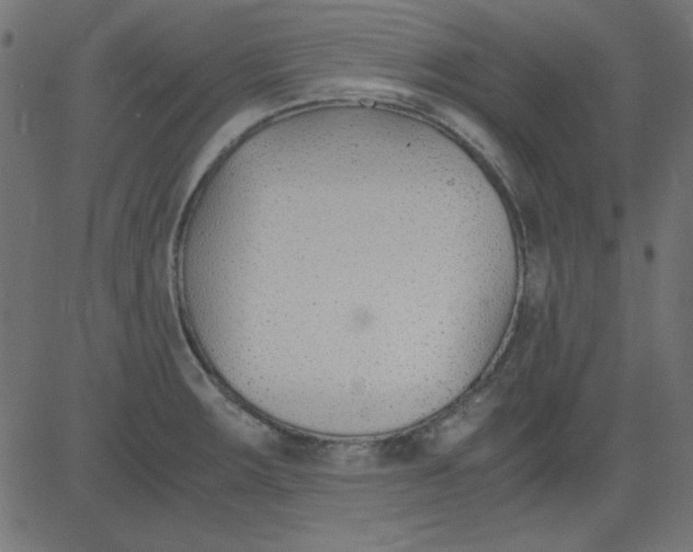 X0000081291283200702012235