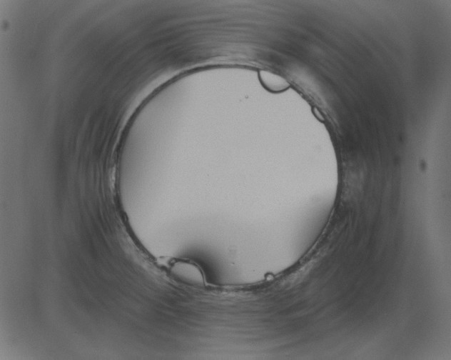 X0000081291284200702012235