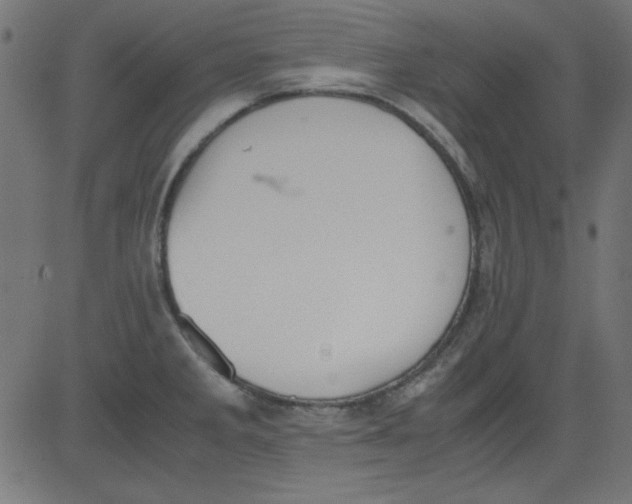 X0000081291285200702012235