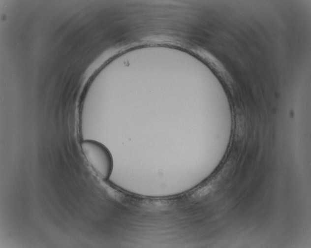 X0000081291286200702012235