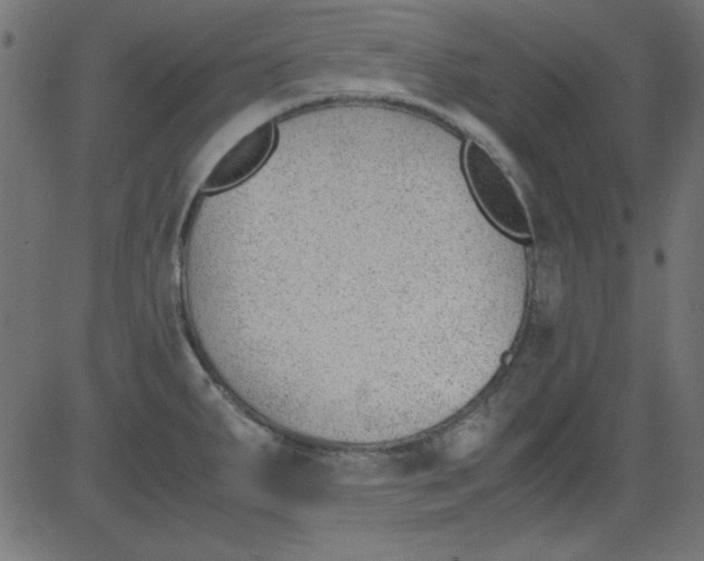 X0000081291287200702012235