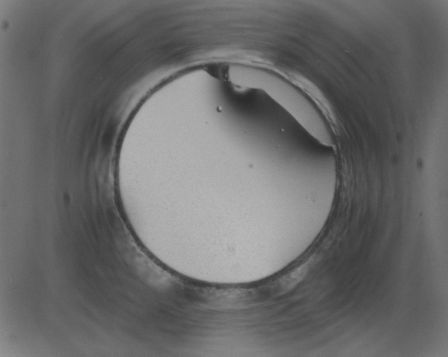 X0000081291288200702012235