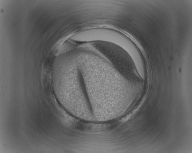 X0000081291289200702012235