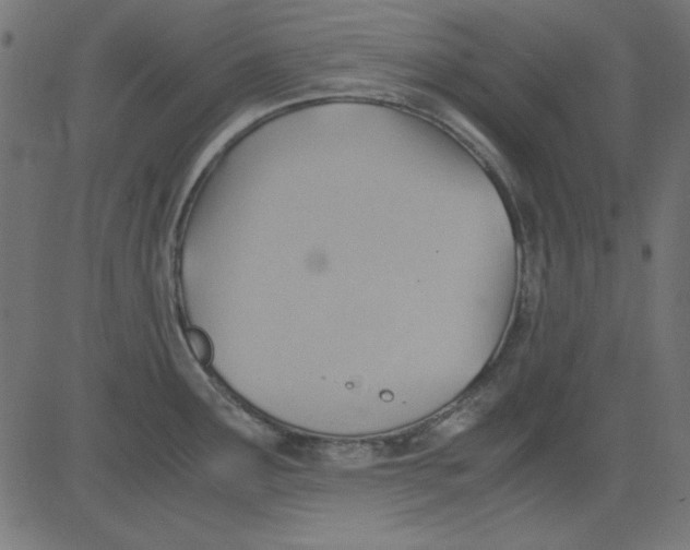 X0000081291291200702012235