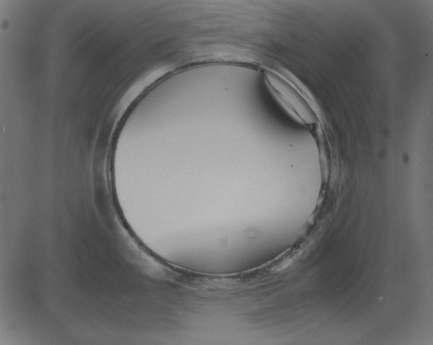 X0000081291293200702012235