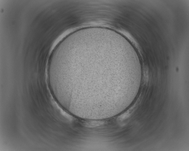 X0000081291294200702012235