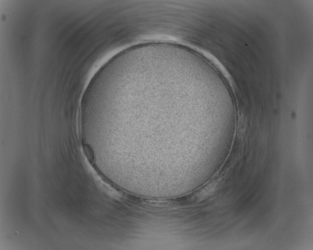 X0000081291295200702012235