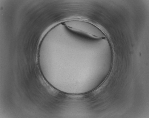 X0000081291296200702012235