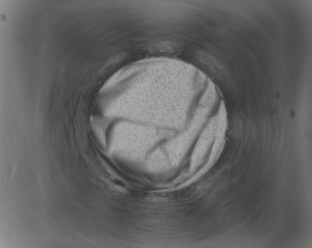 X0000081291297200702012234