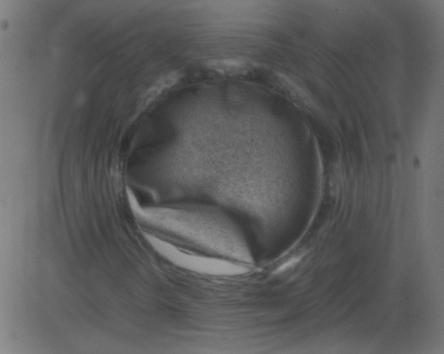 X0000081291298200702012234