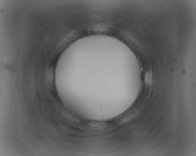 X0000081291299200702012234