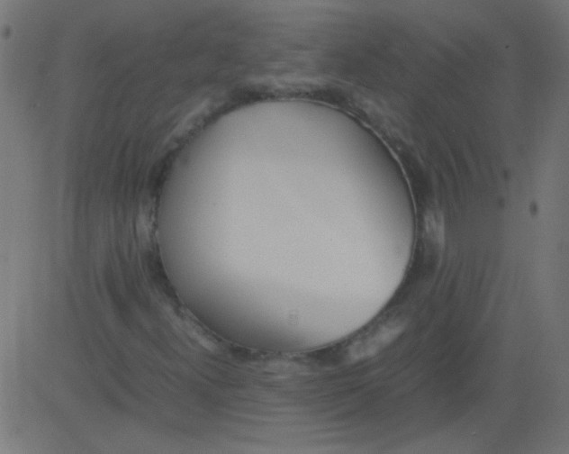 X0000081291300200702012234