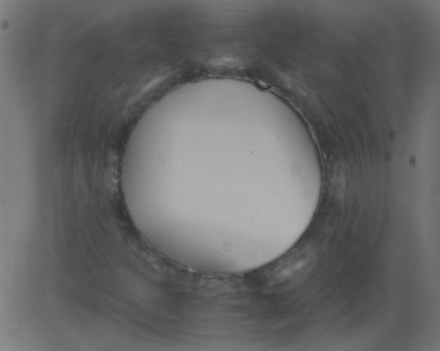 X0000081291301200702012234