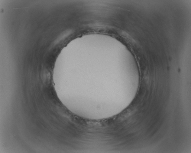 X0000081291302200702012234