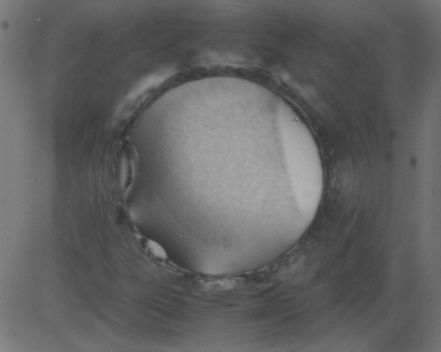 X0000081291303200702012234