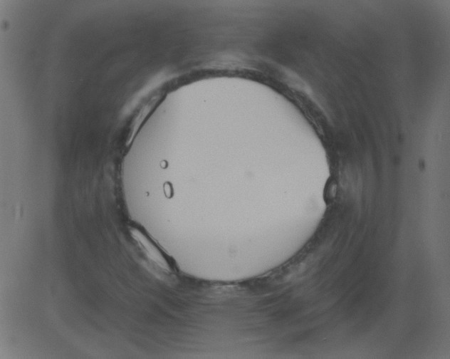 X0000081291304200702012234