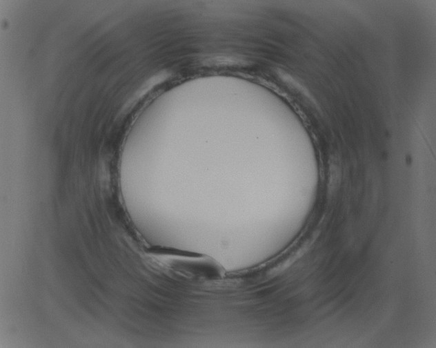 X0000081291305200702012234