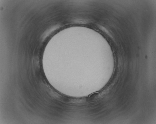 X0000081291307200702012234