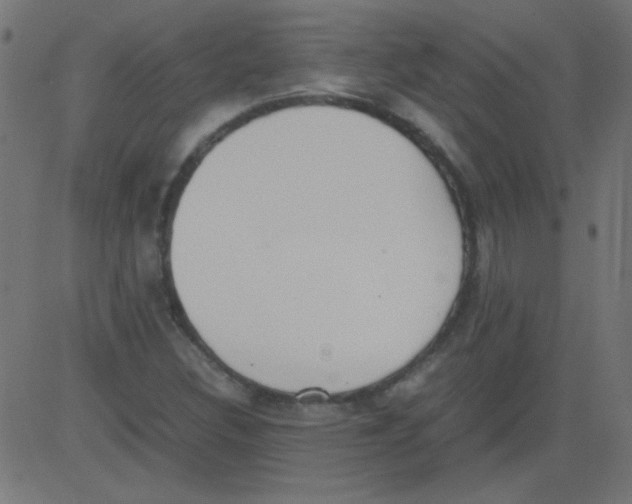 X0000081291308200702012234