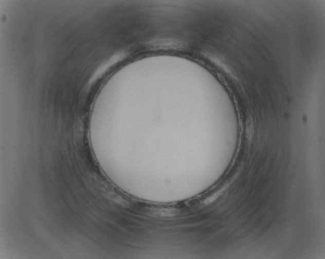 X0000081291309200702012234