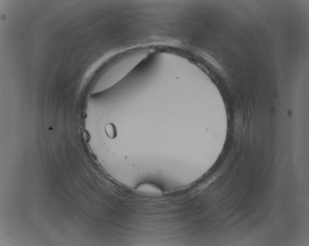 X0000081291310200702012234