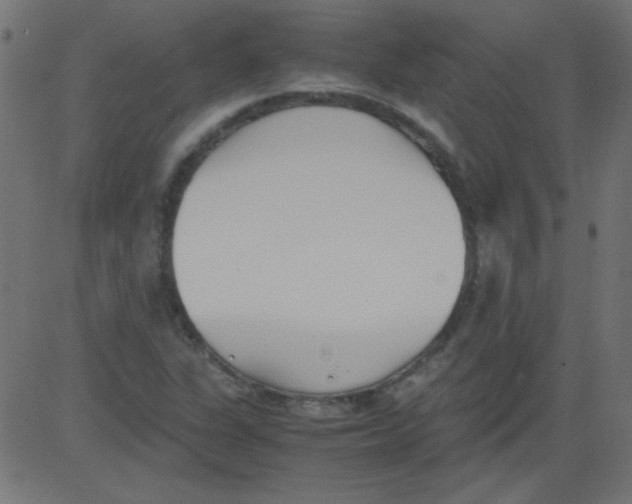 X0000081291311200702012234