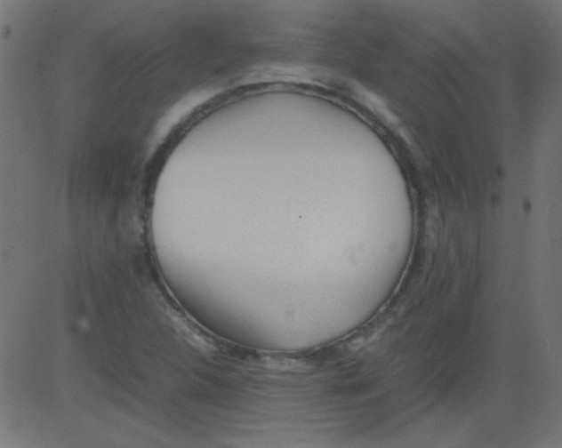 X0000081291312200702012234