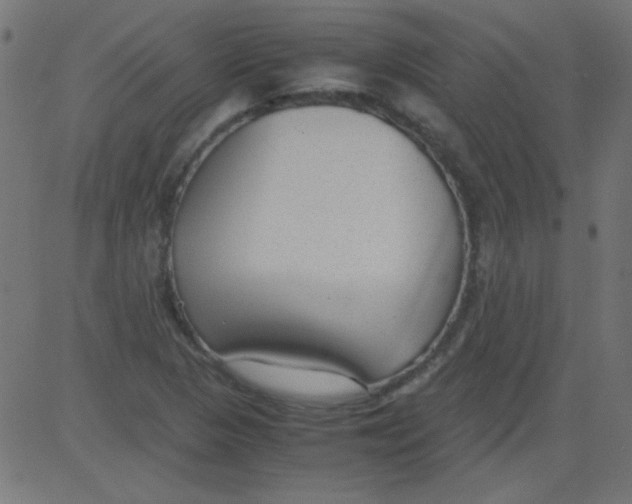 X0000081291313200702012234