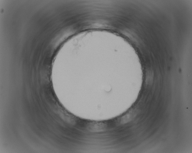 X0000081291314200702012234