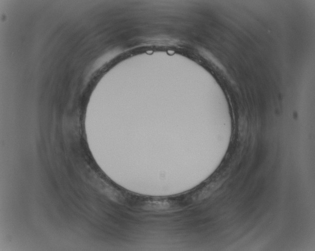 X0000081291315200702012234