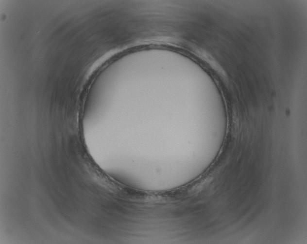 X0000081291316200702012234